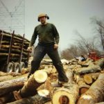 Hahn Memorial Foundation Logging Pennsylvania Families