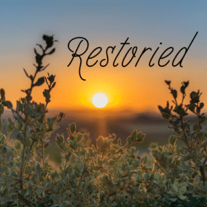 <br>  <br> Donate To This Program